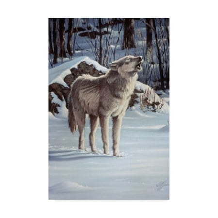 Wilhelm Goebel 'A Message For The Wind Wolf' Canvas Art,16x24